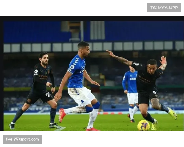 埃弗顿对阵纽卡斯尔 英超中游集团直接对话